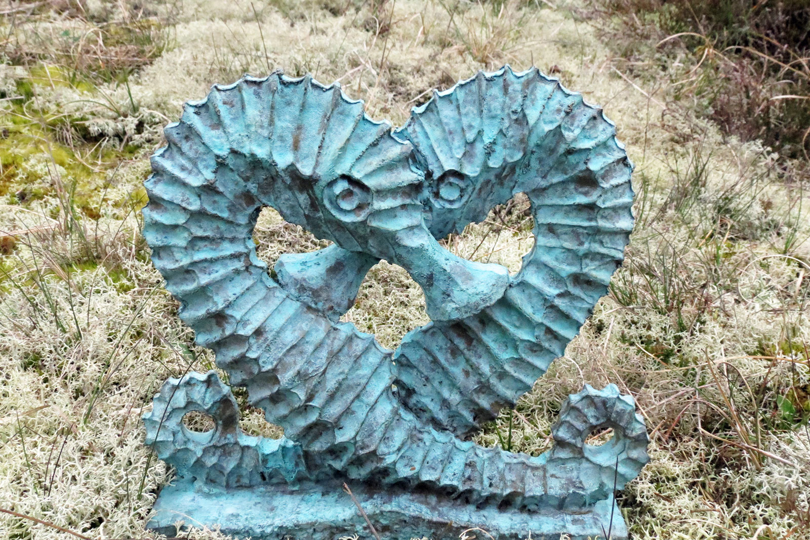 seahorse-Valentine-1600x1067-web